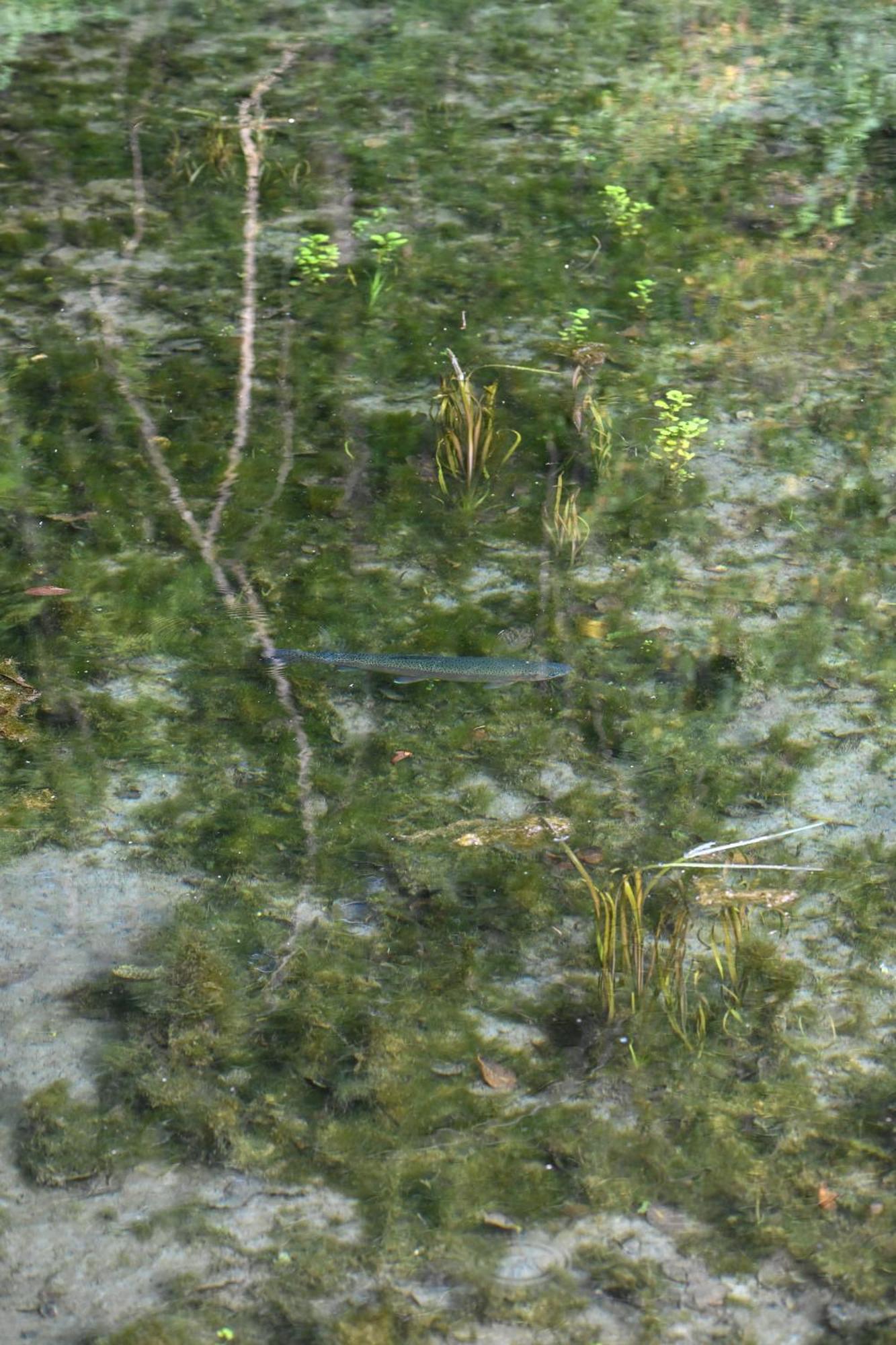 Willa Rozin- Klimatyczne Domki Caloroczne I Jura Krakowsko-Czestochowska Krzeszowice Zewnętrze zdjęcie