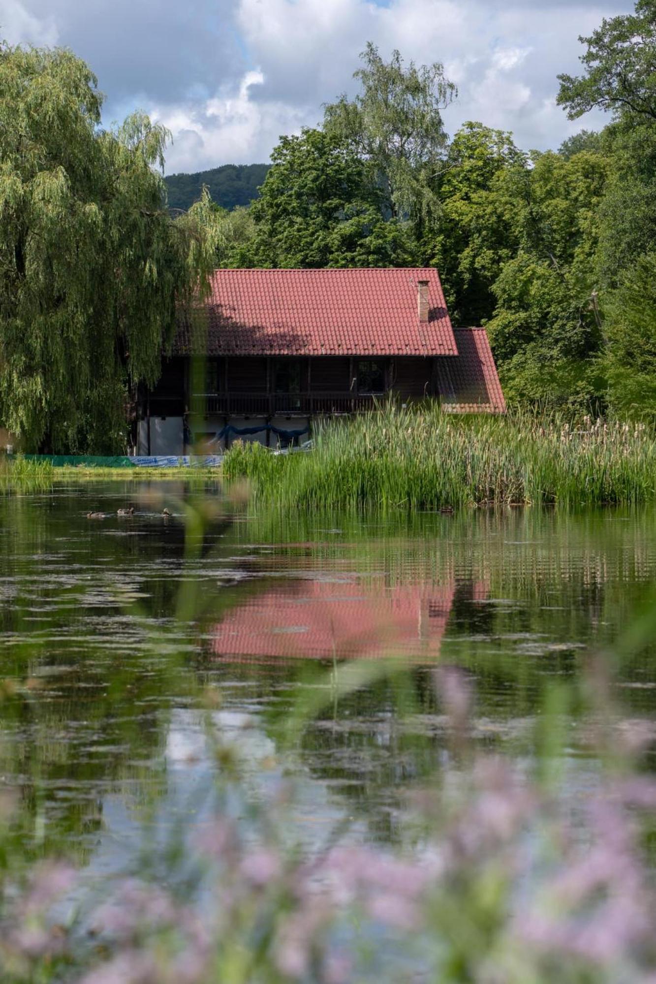 Willa Rozin- Klimatyczne Domki Caloroczne I Jura Krakowsko-Czestochowska Krzeszowice Zewnętrze zdjęcie